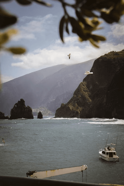 Madeira coastline with steep green cliffs overlooking the Atlantic.